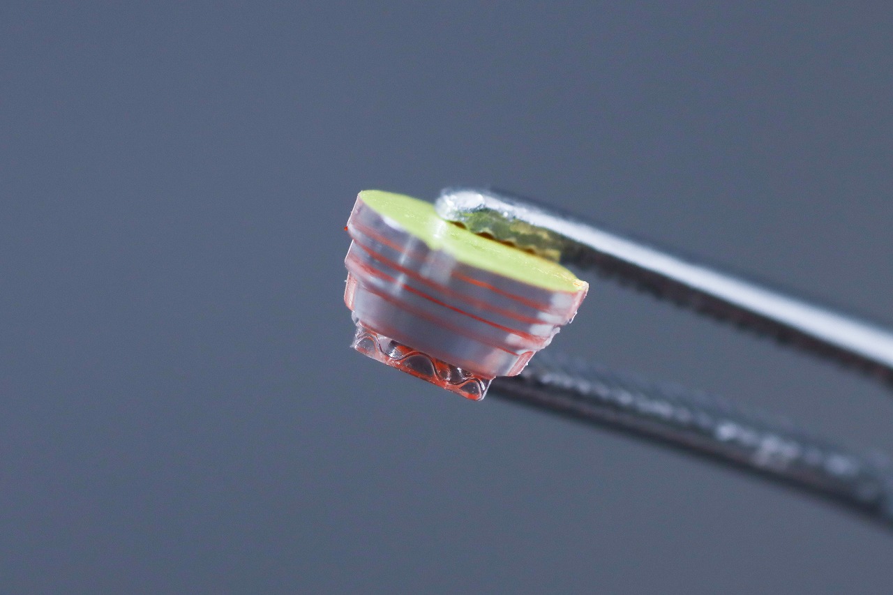 S.H.フィギュアーツ　仮面ライダーヴラム プリンカスタム　レビュー　本体