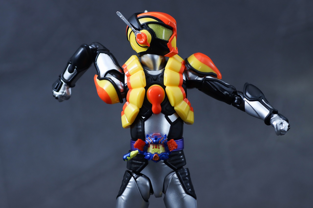 S.H.フィギュアーツ　仮面ライダーヴラム プリンカスタム　レビュー　可動範囲