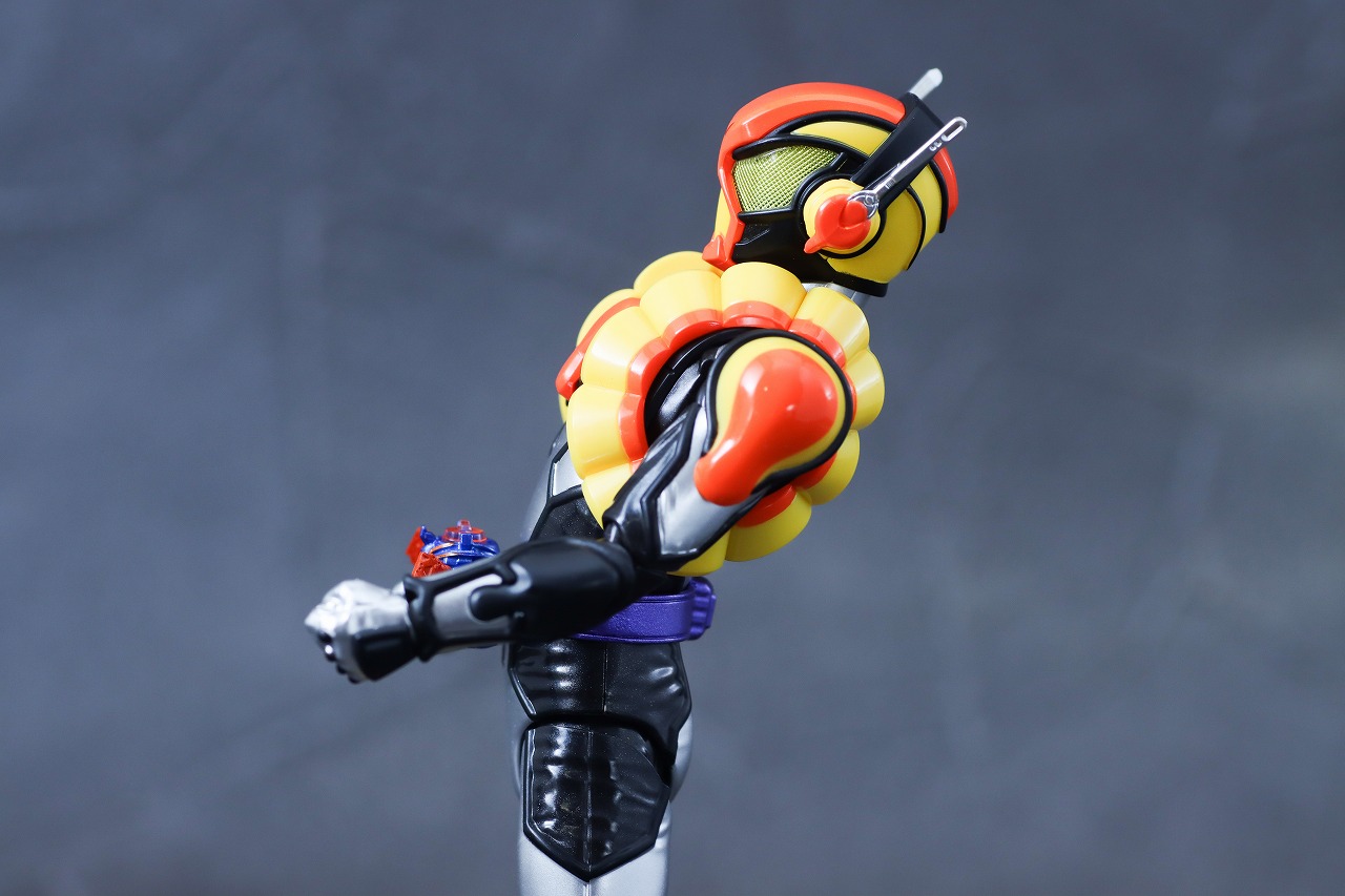 S.H.フィギュアーツ　仮面ライダーヴラム プリンカスタム　レビュー　可動範囲