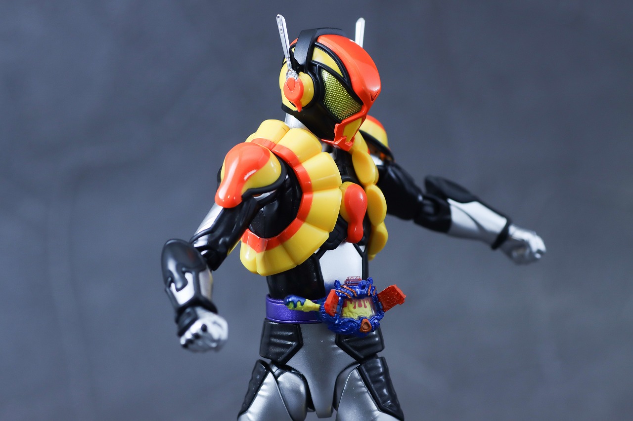 S.H.フィギュアーツ　仮面ライダーヴラム プリンカスタム　レビュー　可動範囲