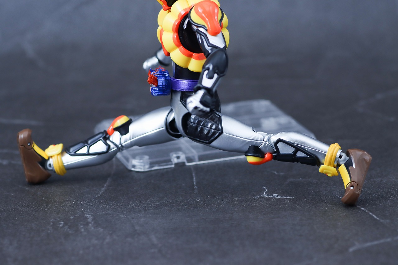 S.H.フィギュアーツ　仮面ライダーヴラム プリンカスタム　レビュー　可動範囲