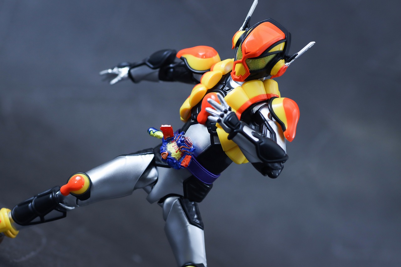 S.H.フィギュアーツ　仮面ライダーヴラム プリンカスタム　レビュー　アクション