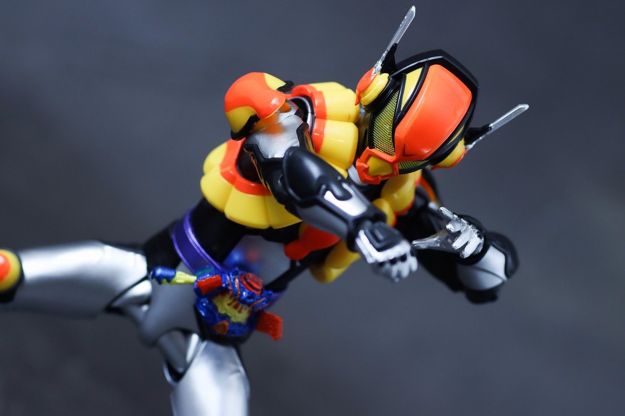 S.H.フィギュアーツ　仮面ライダーヴラム プリンカスタム　レビュー　アクション