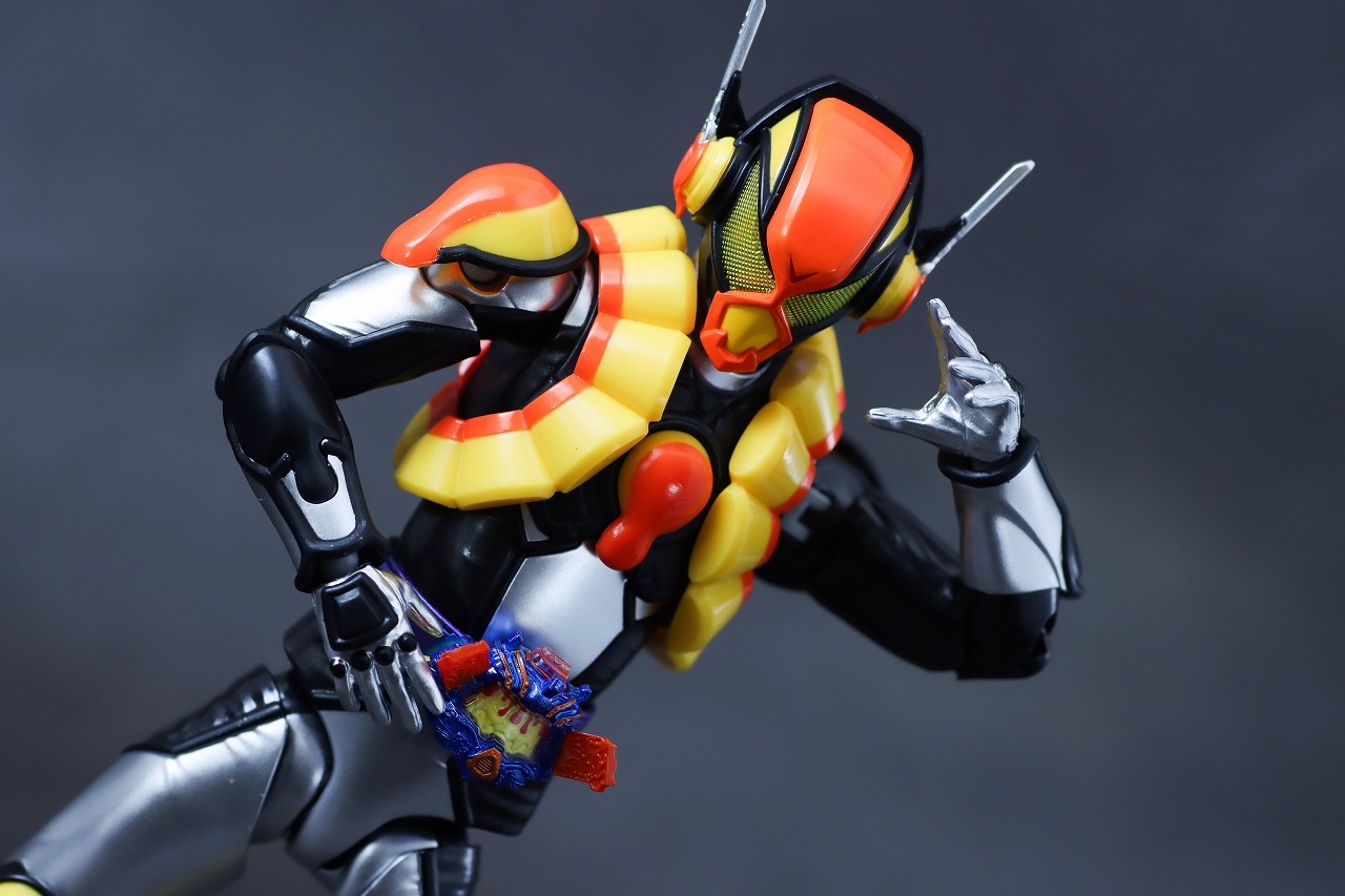 S.H.フィギュアーツ　仮面ライダーヴラム プリンカスタム　レビュー　アクション
