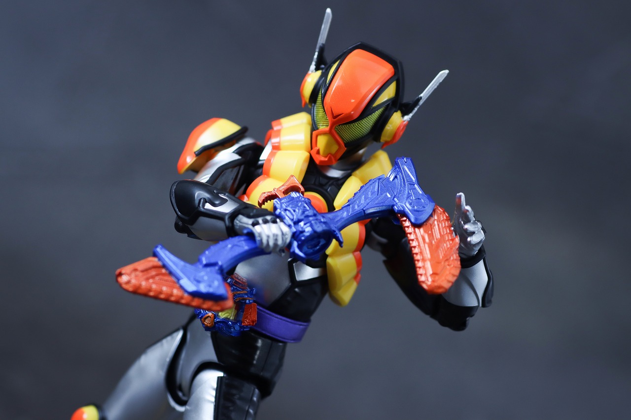 S.H.フィギュアーツ　仮面ライダーヴラム プリンカスタム　レビュー　アクション