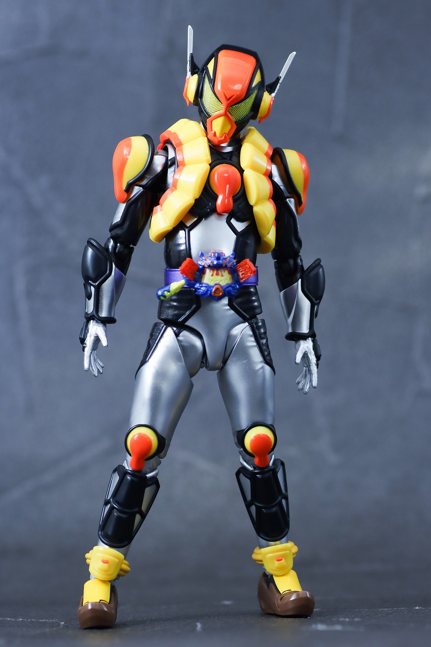 S.H.フィギュアーツ　仮面ライダーヴラム プリンカスタム　レビュー　本体