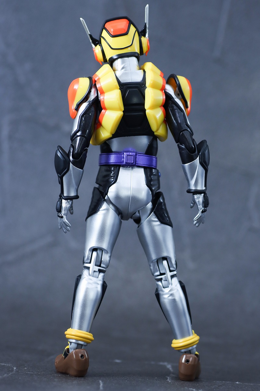 S.H.フィギュアーツ　仮面ライダーヴラム プリンカスタム　レビュー　本体