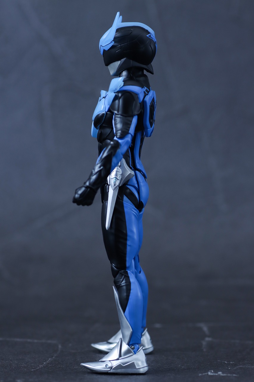 S.H.フィギュアーツ 真骨彫製法　ウイングマン　レビュー　本体