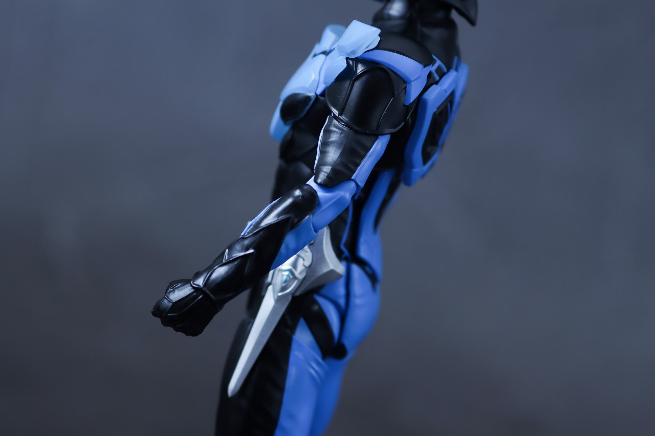 S.H.フィギュアーツ 真骨彫製法　ウイングマン　レビュー　本体