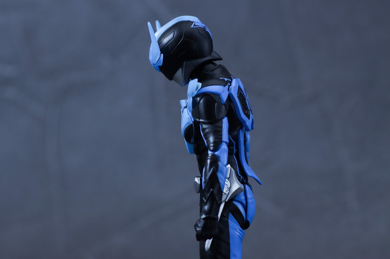 S.H.フィギュアーツ 真骨彫製法　ウイングマン　レビュー　可動範囲