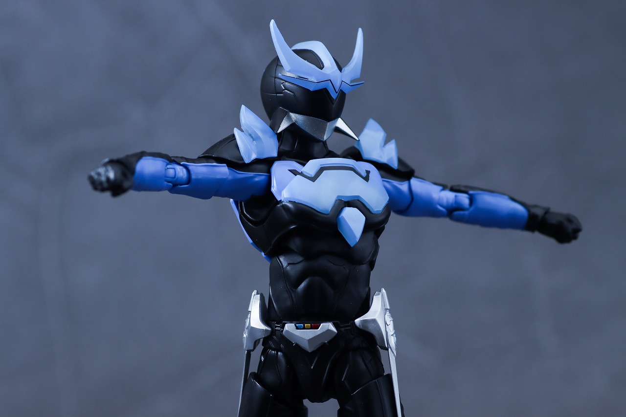 S.H.フィギュアーツ 真骨彫製法　ウイングマン　レビュー　可動範囲