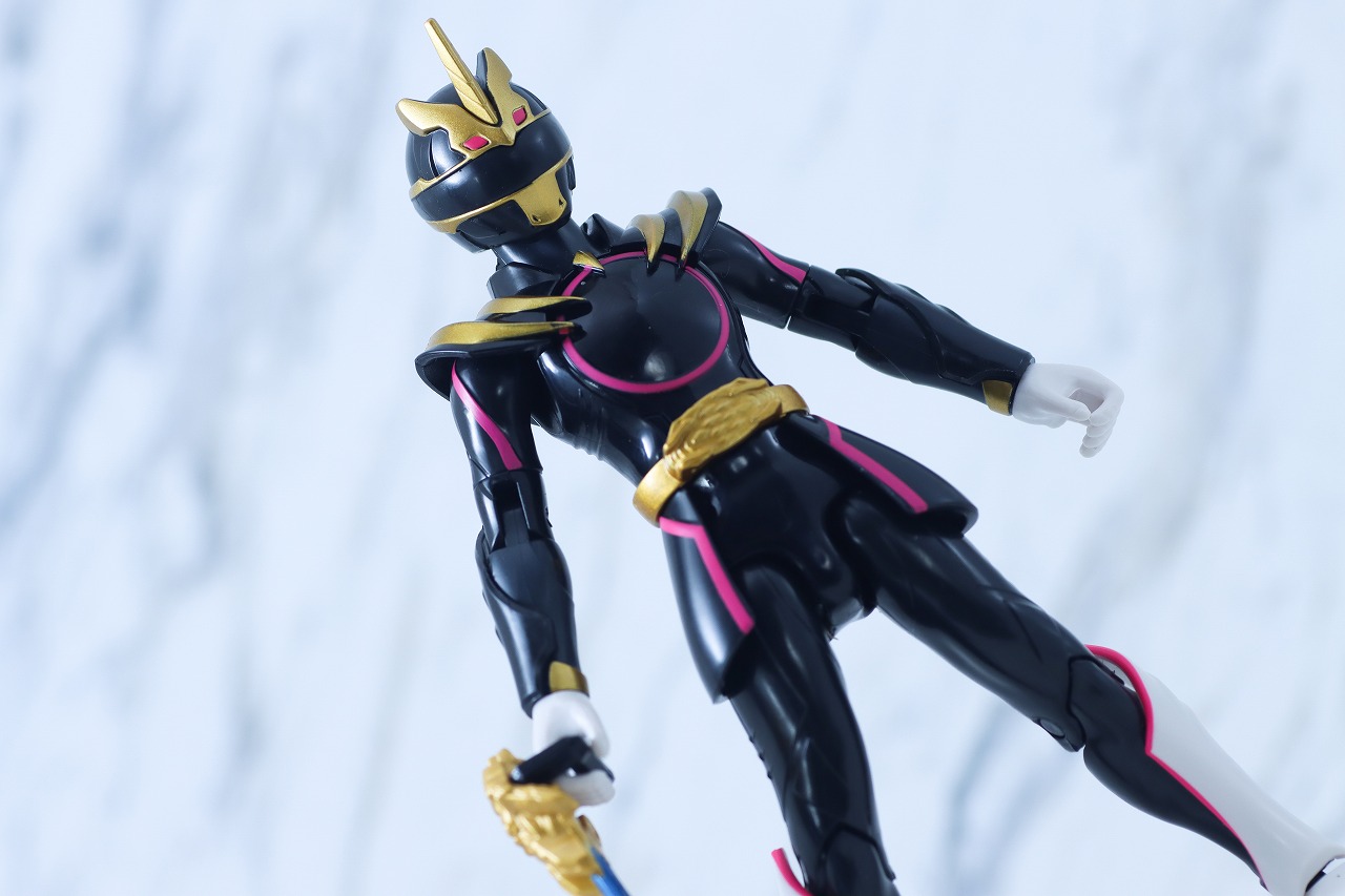 アクションヒーロー　ゴジュウユニコーン　レビュー　アクション