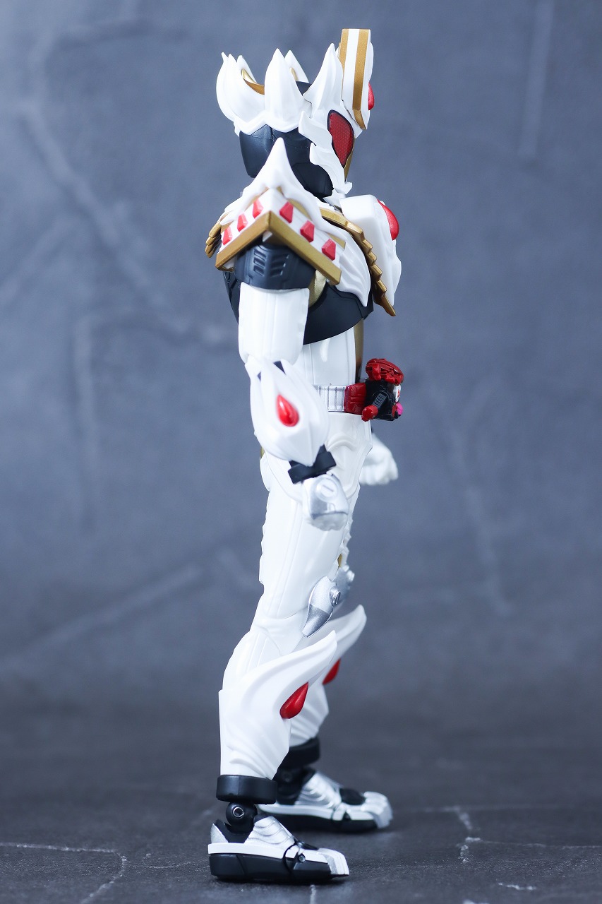 S.H.フィギュアーツ　仮面ライダーガヴ ケーキングフォーム　レビュー　本体