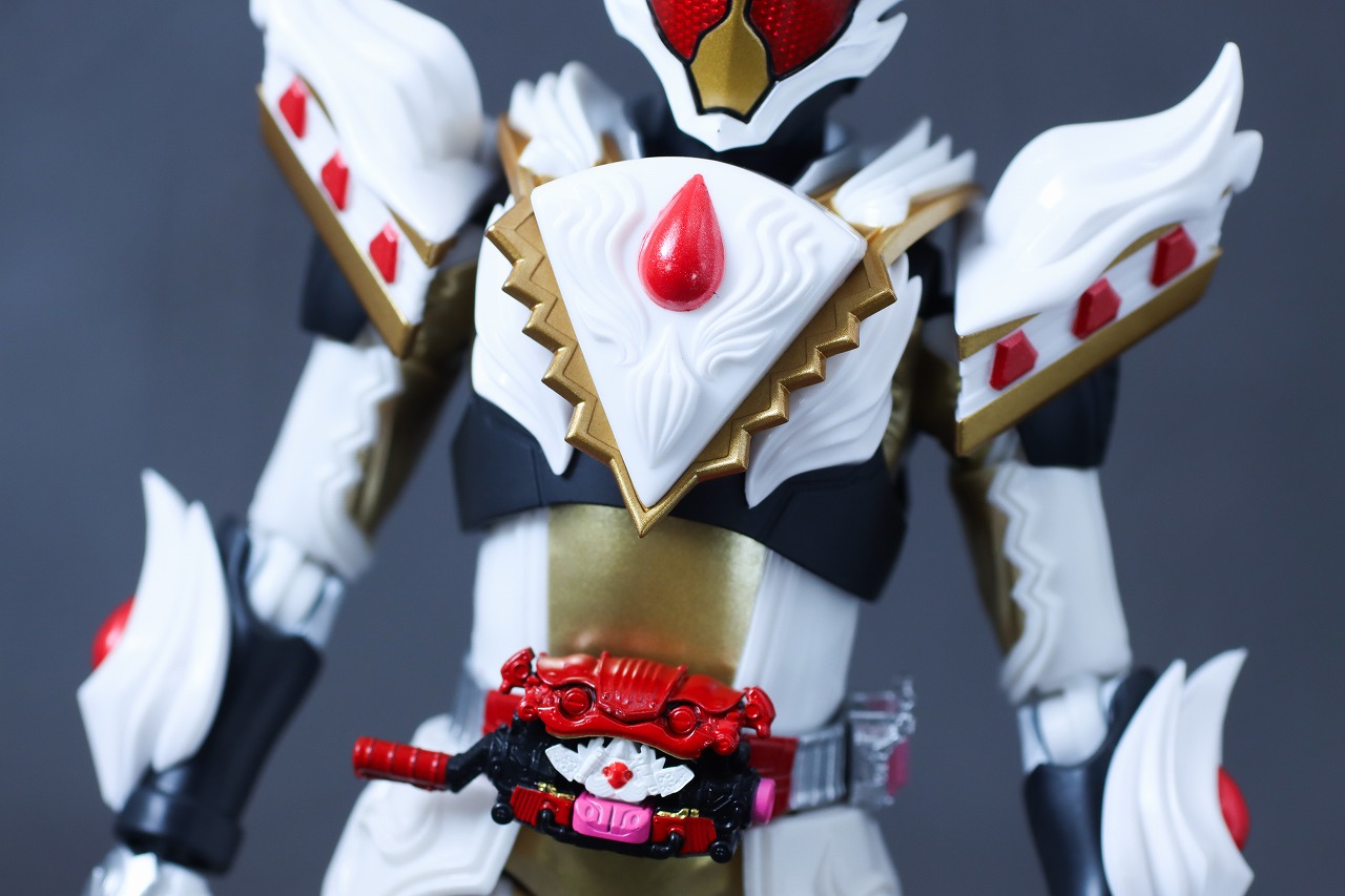 S.H.フィギュアーツ　仮面ライダーガヴ ケーキングフォーム　レビュー　本体