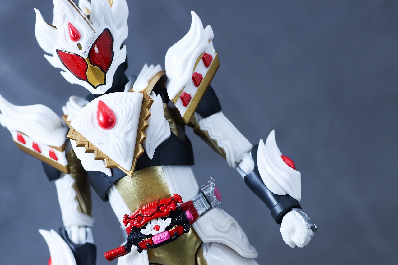 S.H.フィギュアーツ　仮面ライダーガヴ ケーキングフォーム　レビュー　本体