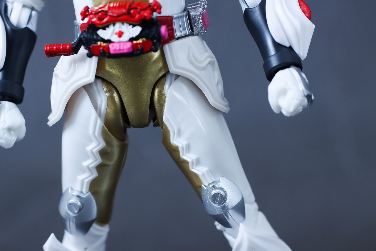 S.H.フィギュアーツ　仮面ライダーガヴ ケーキングフォーム　レビュー　本体