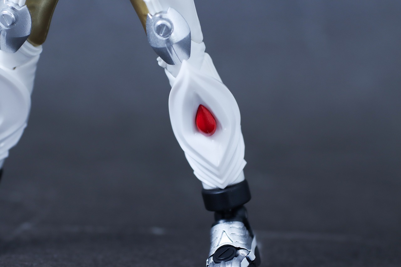 S.H.フィギュアーツ　仮面ライダーガヴ ケーキングフォーム　レビュー　本体