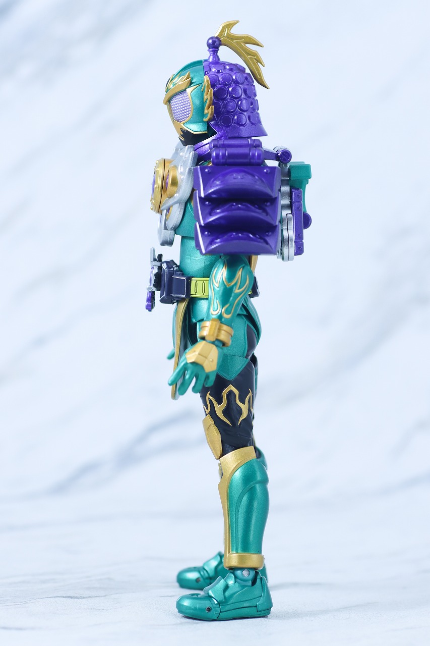 S.H.フィギュアーツ 真骨彫製法　仮面ライダー龍玄 ブドウアームズ　レビュー　本体