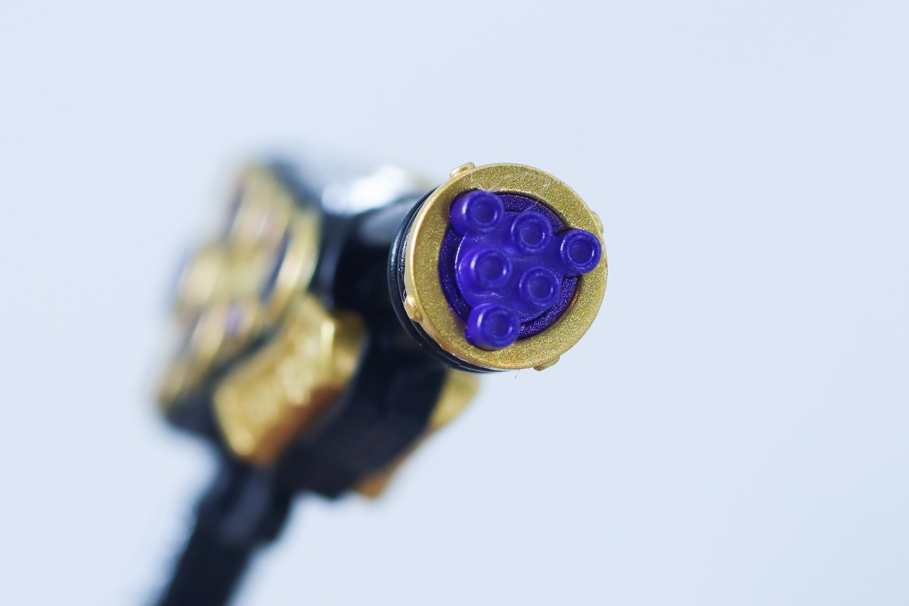 S.H.フィギュアーツ 真骨彫製法　仮面ライダー龍玄 ブドウアームズ　レビュー　付属品　ブドウ龍砲