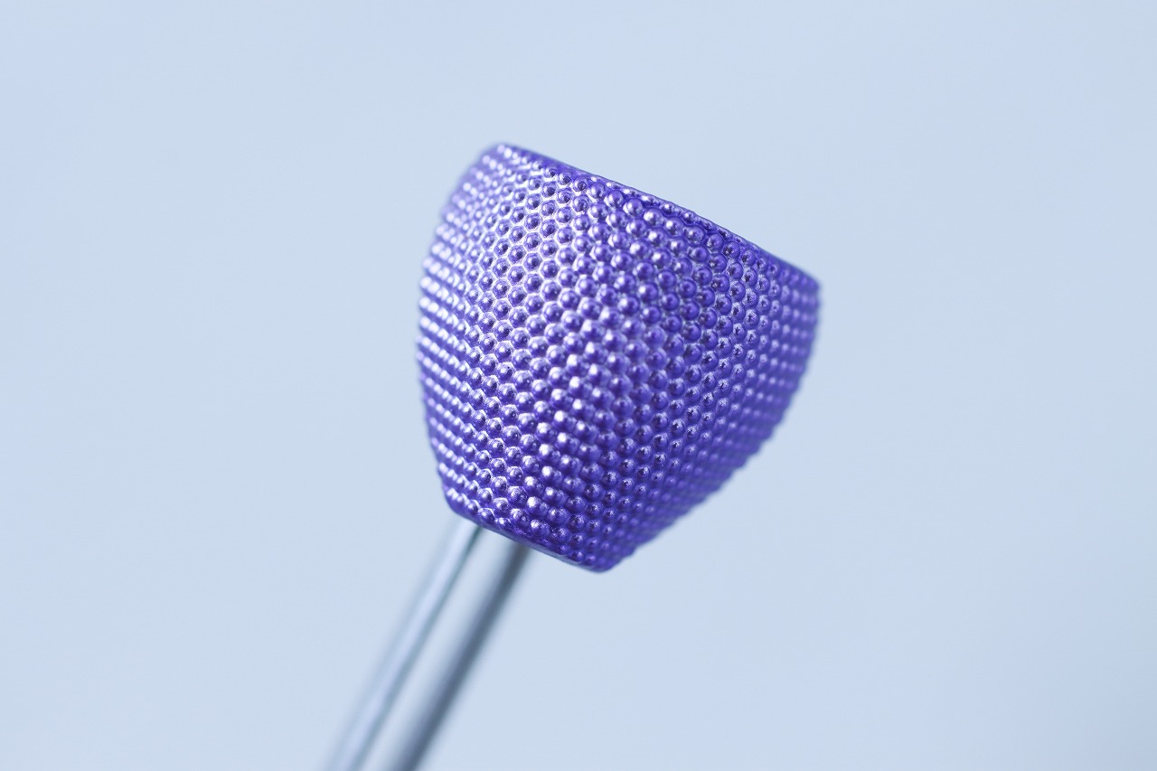 S.H.フィギュアーツ 真骨彫製法　仮面ライダー龍玄 ブドウアームズ　レビュー　付属品　ブドウアームズ複眼