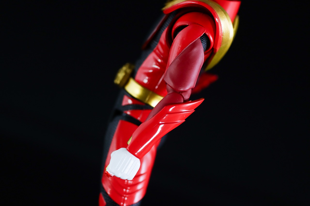 S.H.フィギュアーツ　ゴジュウルフ　レビュー　本体