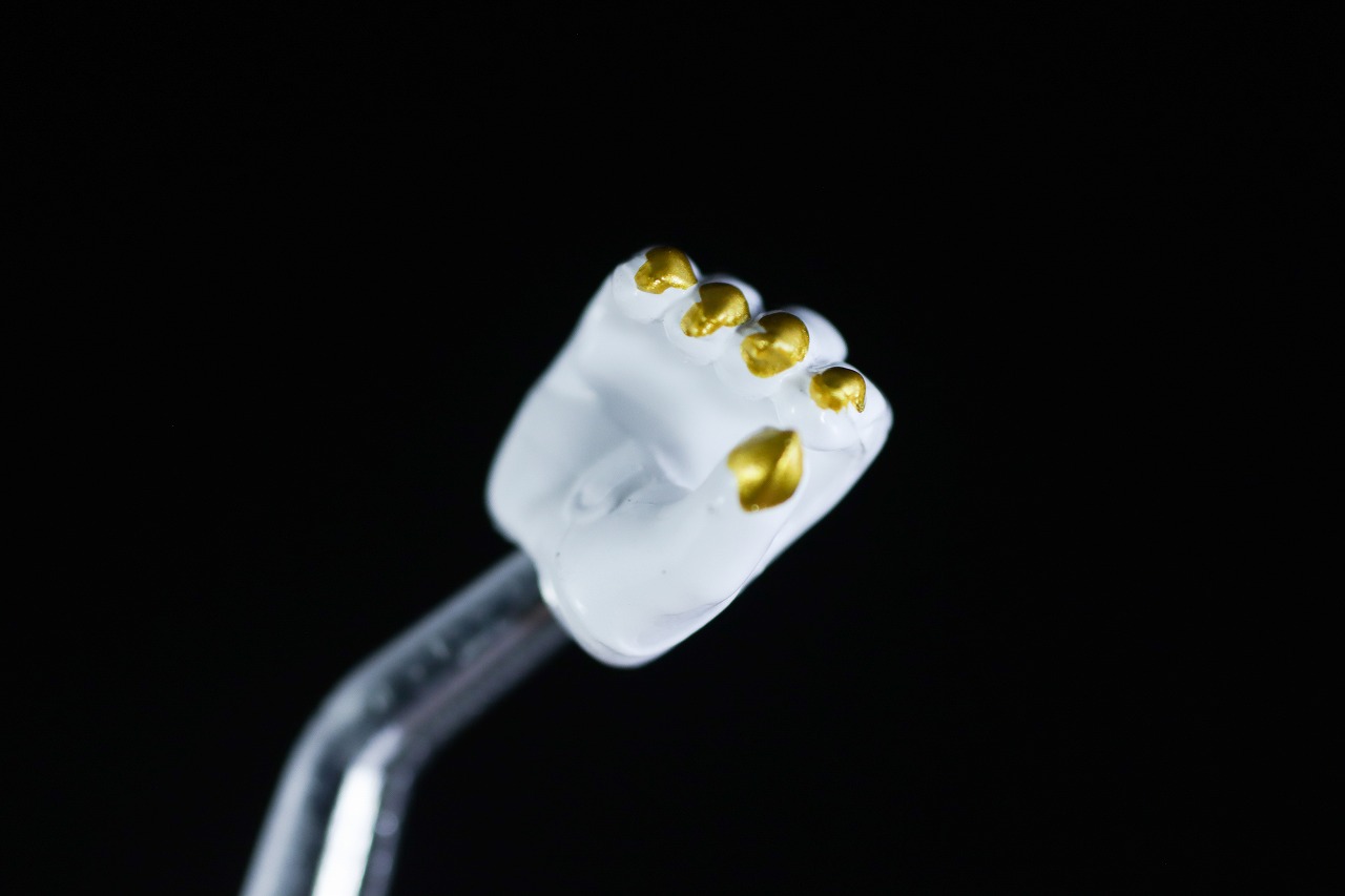 S.H.フィギュアーツ　ゴジュウルフ　レビュー　付属品　手首