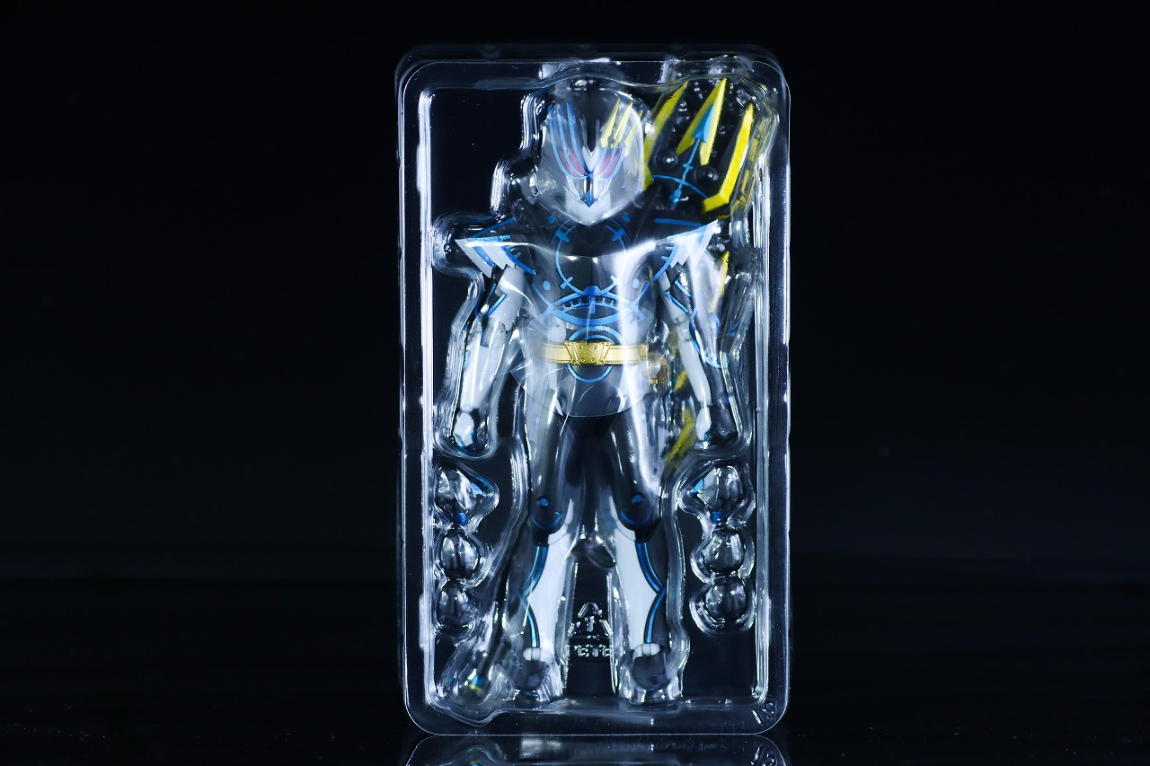 S.H.フィギュアーツ　仮面ライダーデュランダル オーシャンヒストリー　レビュー　パッケージ