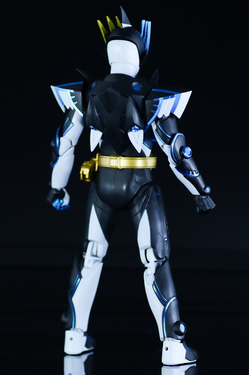 S.H.フィギュアーツ　仮面ライダーデュランダル オーシャンヒストリー　レビュー　本体