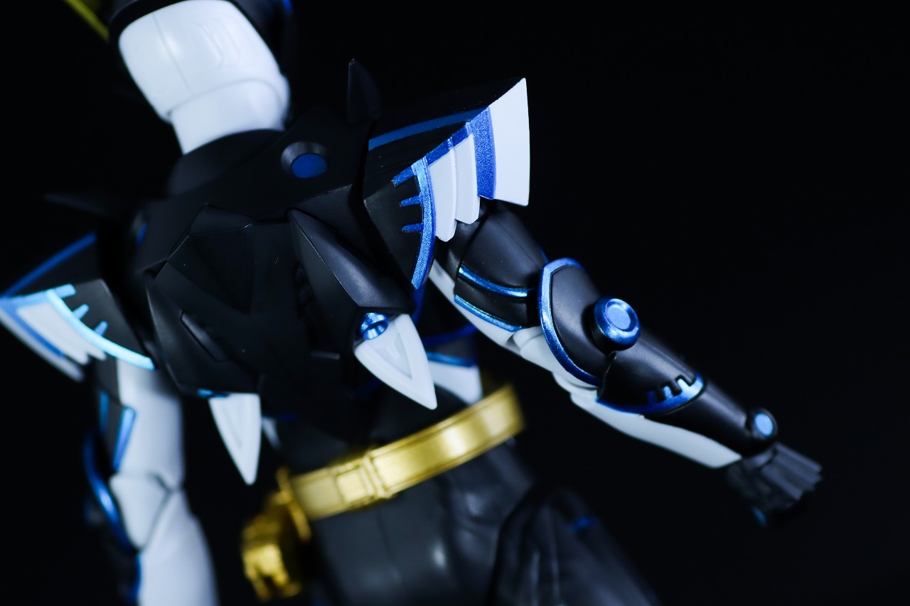 S.H.フィギュアーツ　仮面ライダーデュランダル オーシャンヒストリー　レビュー　本体