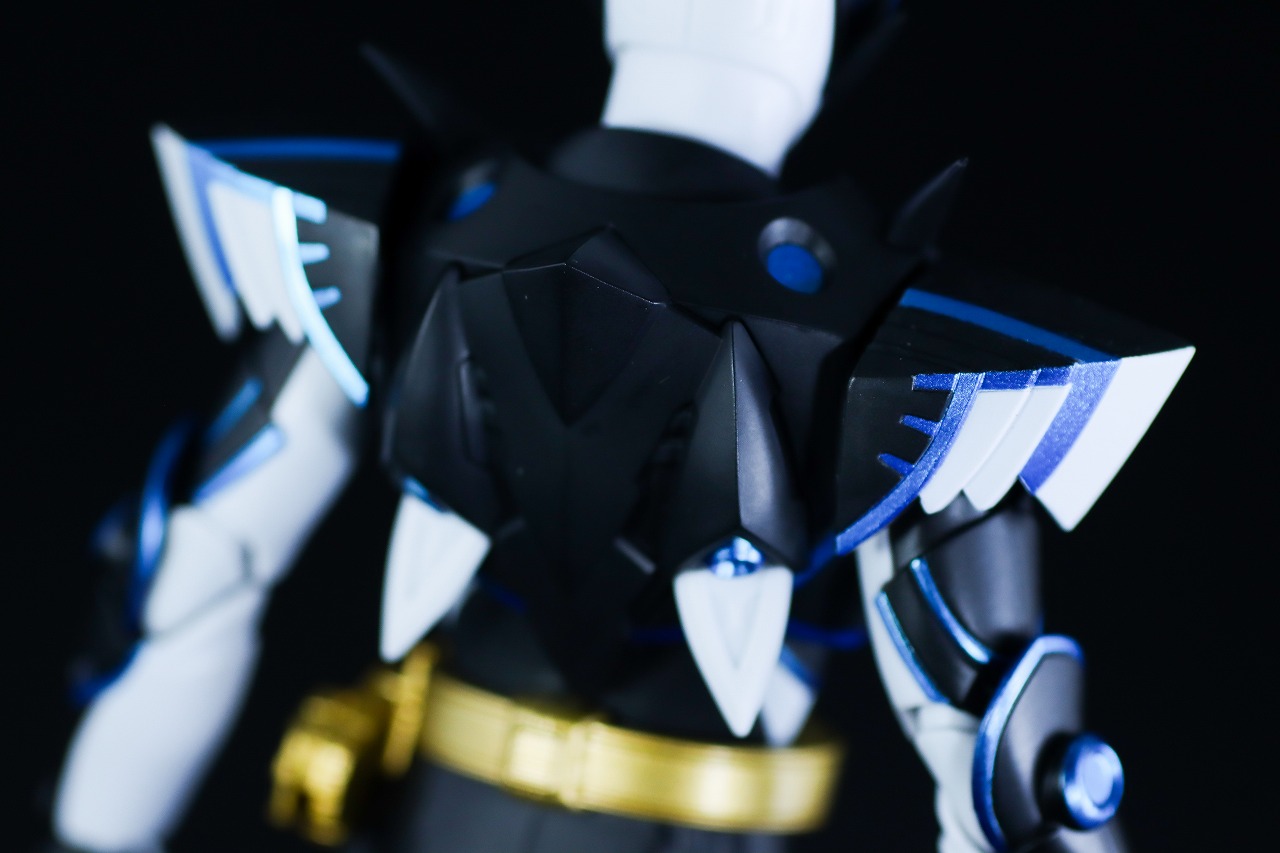 S.H.フィギュアーツ　仮面ライダーデュランダル オーシャンヒストリー　レビュー　本体