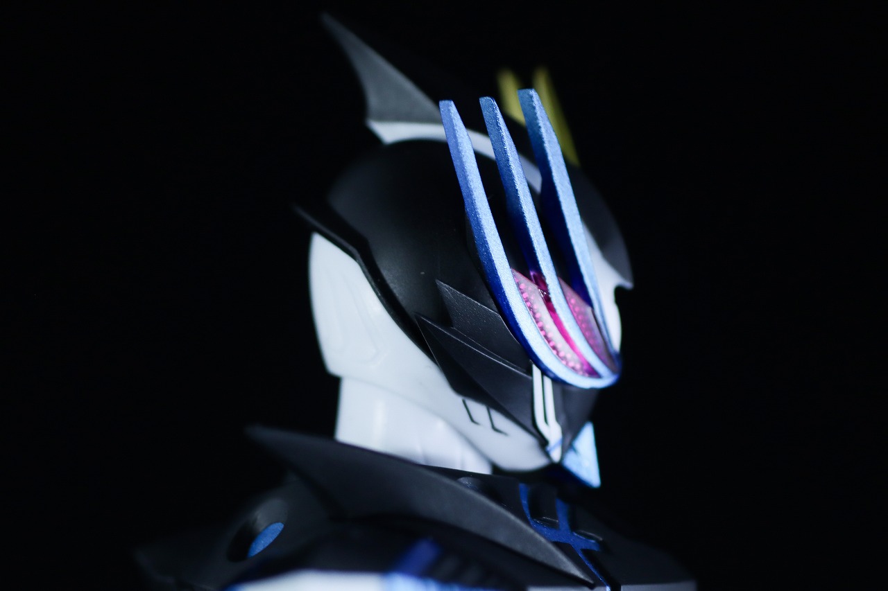 S.H.フィギュアーツ　仮面ライダーデュランダル オーシャンヒストリー　レビュー　本体