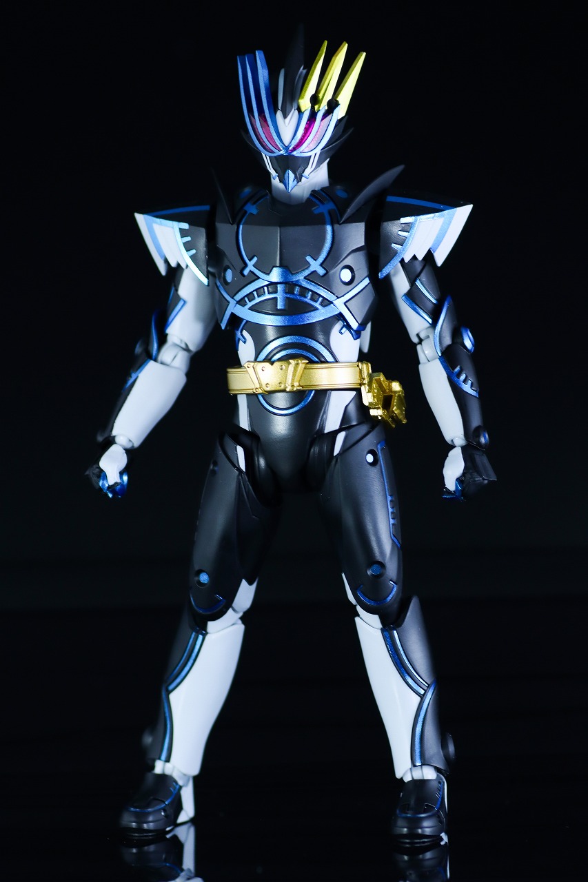 S.H.フィギュアーツ　仮面ライダーデュランダル オーシャンヒストリー　レビュー　本体