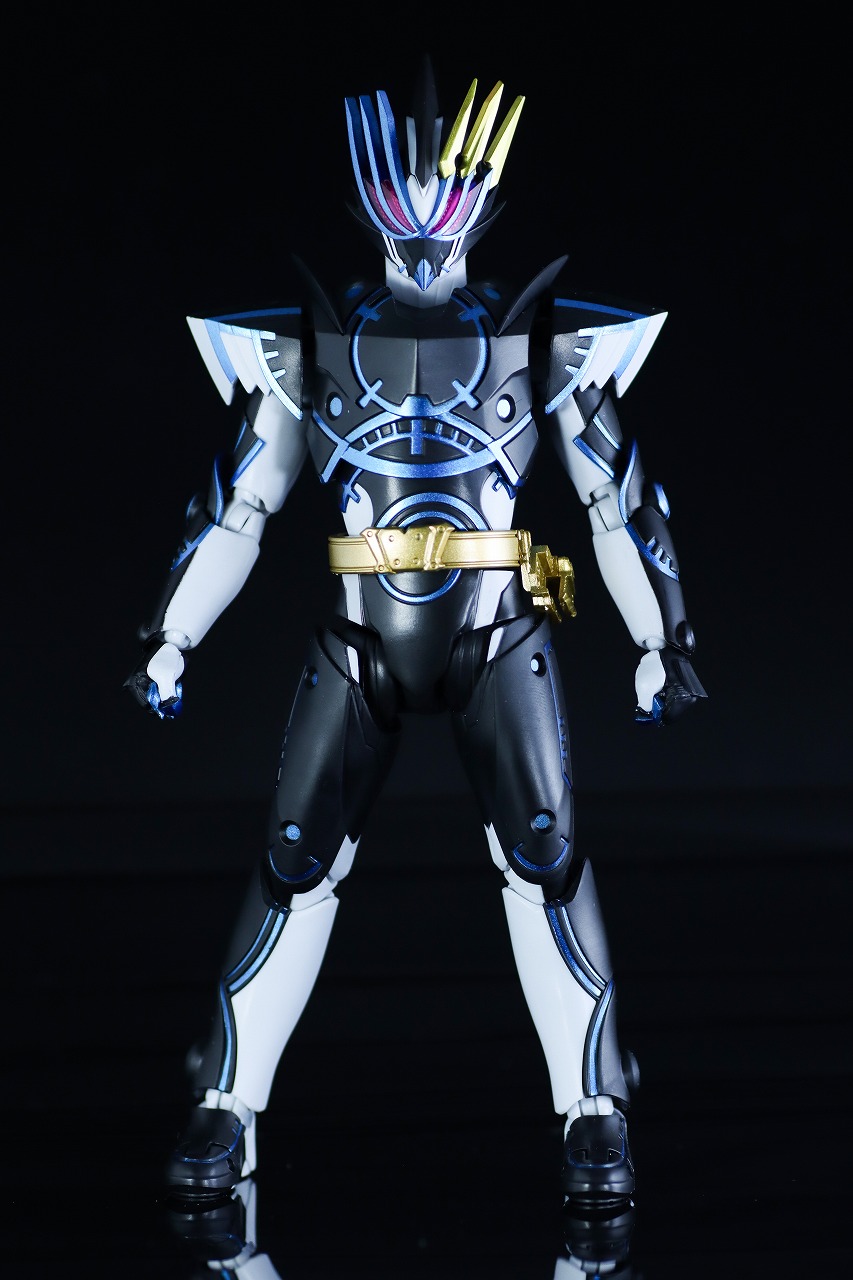 S.H.フィギュアーツ　仮面ライダーデュランダル オーシャンヒストリー　レビュー　本体