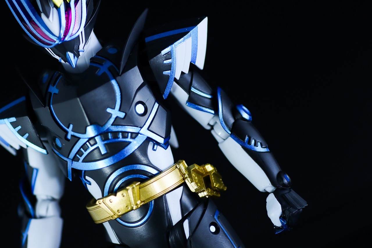 S.H.フィギュアーツ　仮面ライダーデュランダル オーシャンヒストリー　レビュー　本体