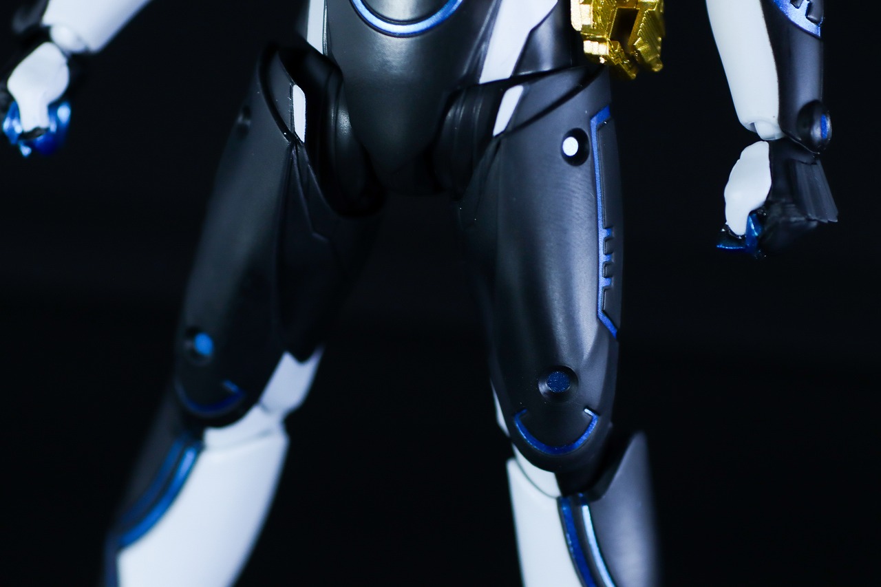 S.H.フィギュアーツ　仮面ライダーデュランダル オーシャンヒストリー　レビュー　本体