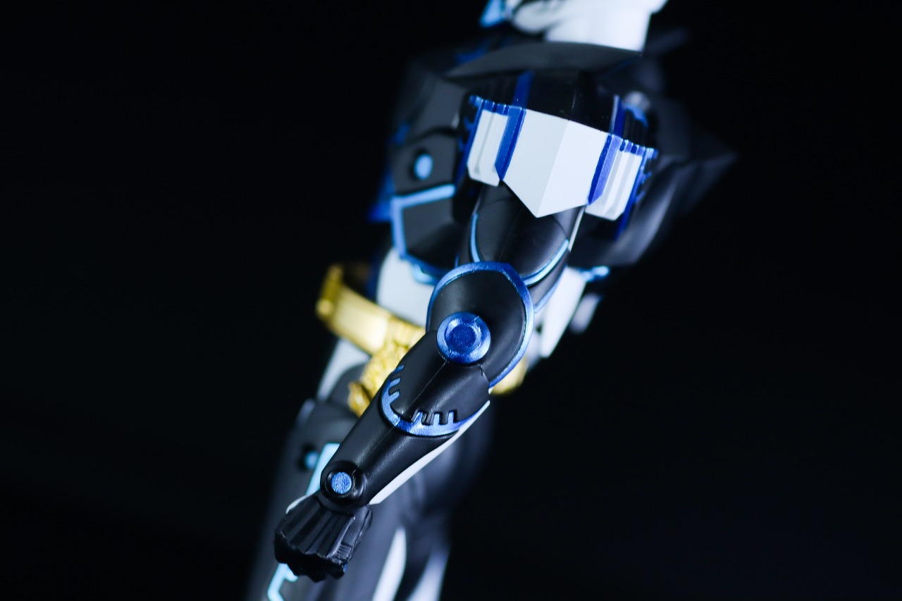 S.H.フィギュアーツ　仮面ライダーデュランダル オーシャンヒストリー　レビュー　本体