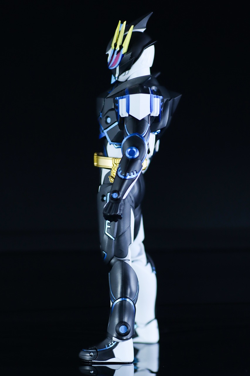 S.H.フィギュアーツ　仮面ライダーデュランダル オーシャンヒストリー　レビュー　本体