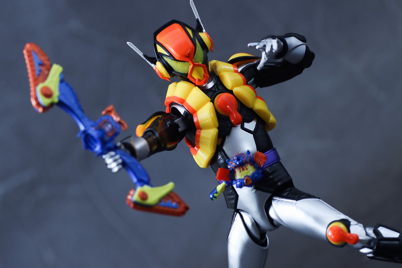 S.H.フィギュアーツ　仮面ライダーヴラム プリンカスタム　レビュー