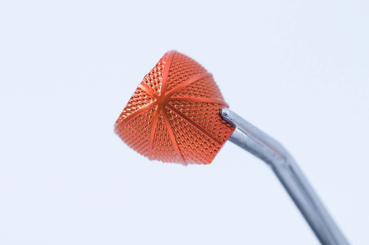 S.H.フィギュアーツ 真骨彫製法　仮面ライダー鎧武 ジンバーレモンアームズ　レビュー　付属品　バロン用複眼パーツ