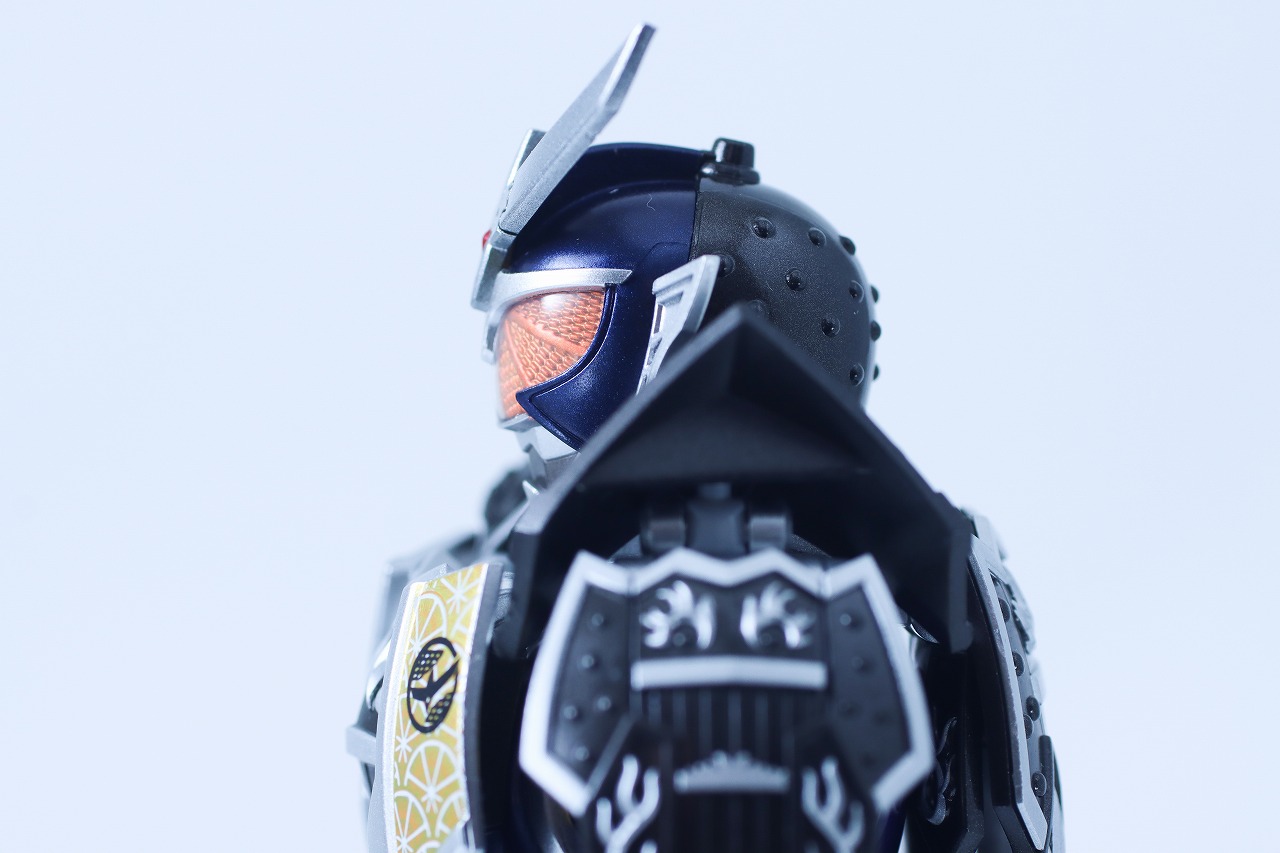 S.H.フィギュアーツ 真骨彫製法 仮面ライダー鎧武 ジンバーレモンアームズ レビュー 可動範囲