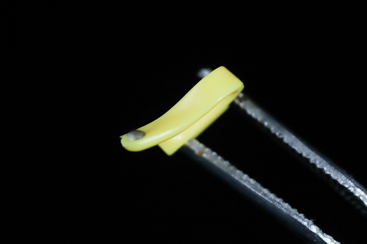 S.H.フィギュアーツ 真骨彫製法　アカレンジャー 50th Anniversary ver.　レビュー　付属品　ホルスターパーツ