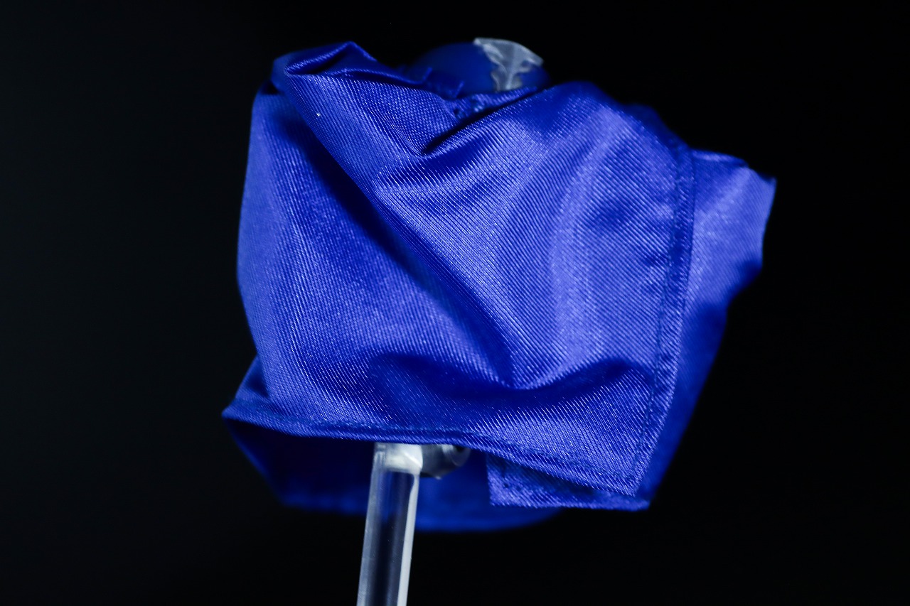 S.H.フィギュアーツ　ニュージェネレーション ウルトラマンケープ　レビュー　本体