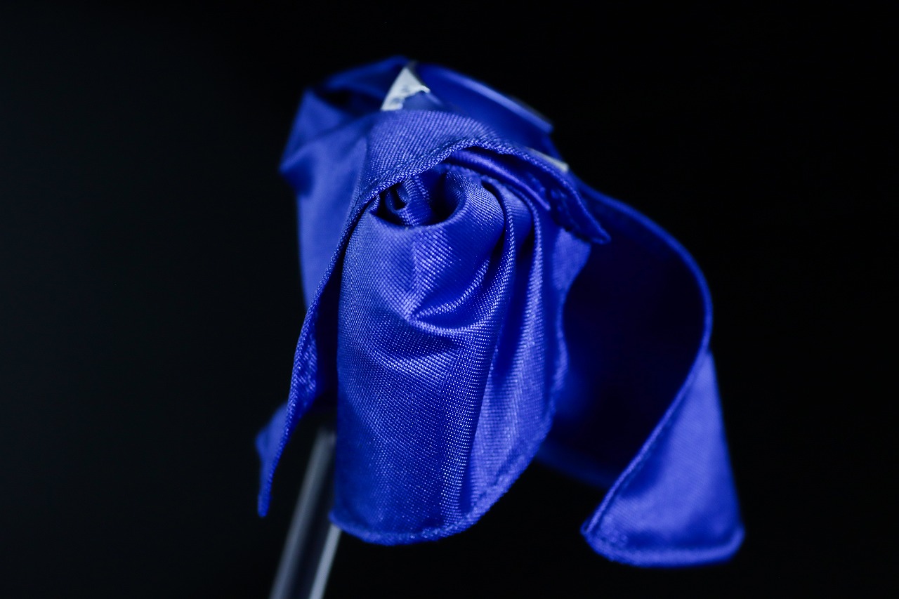 S.H.フィギュアーツ　ニュージェネレーション ウルトラマンケープ　レビュー　本体