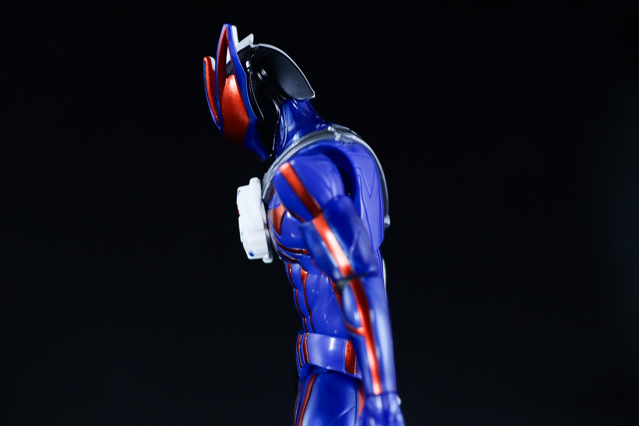 仮面ライダーアクションフィギュア 仮面ライダーノクス　レビュー　可動範囲