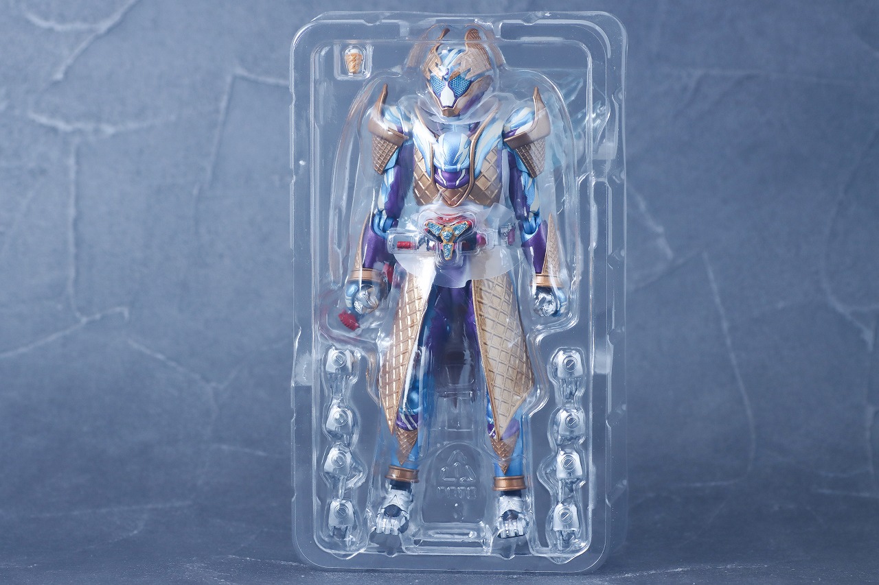 S.H.フィギュアーツ　仮面ライダーガヴ ブリザードソルベフォーム　レビュー　パッケージ