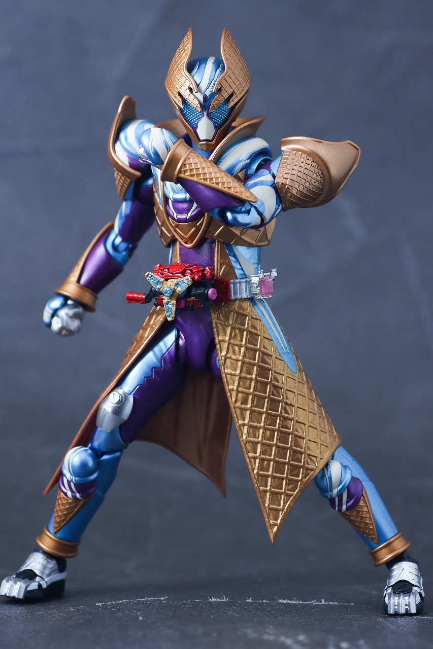 S.H.フィギュアーツ　仮面ライダーガヴ ブリザードソルベフォーム　レビュー　本体
