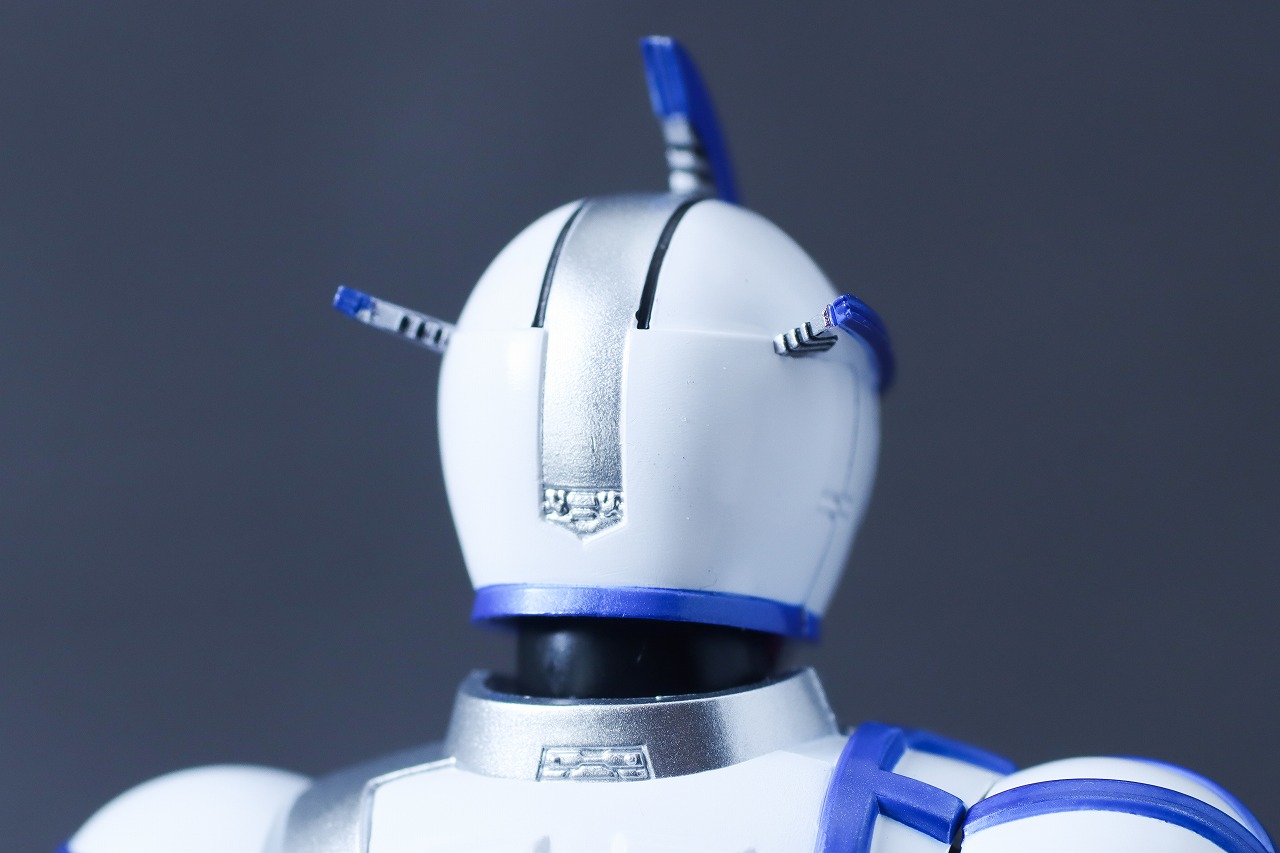 S.H.フィギュアーツ 真骨彫製法　仮面ライダーサイガ　レビュー　本体