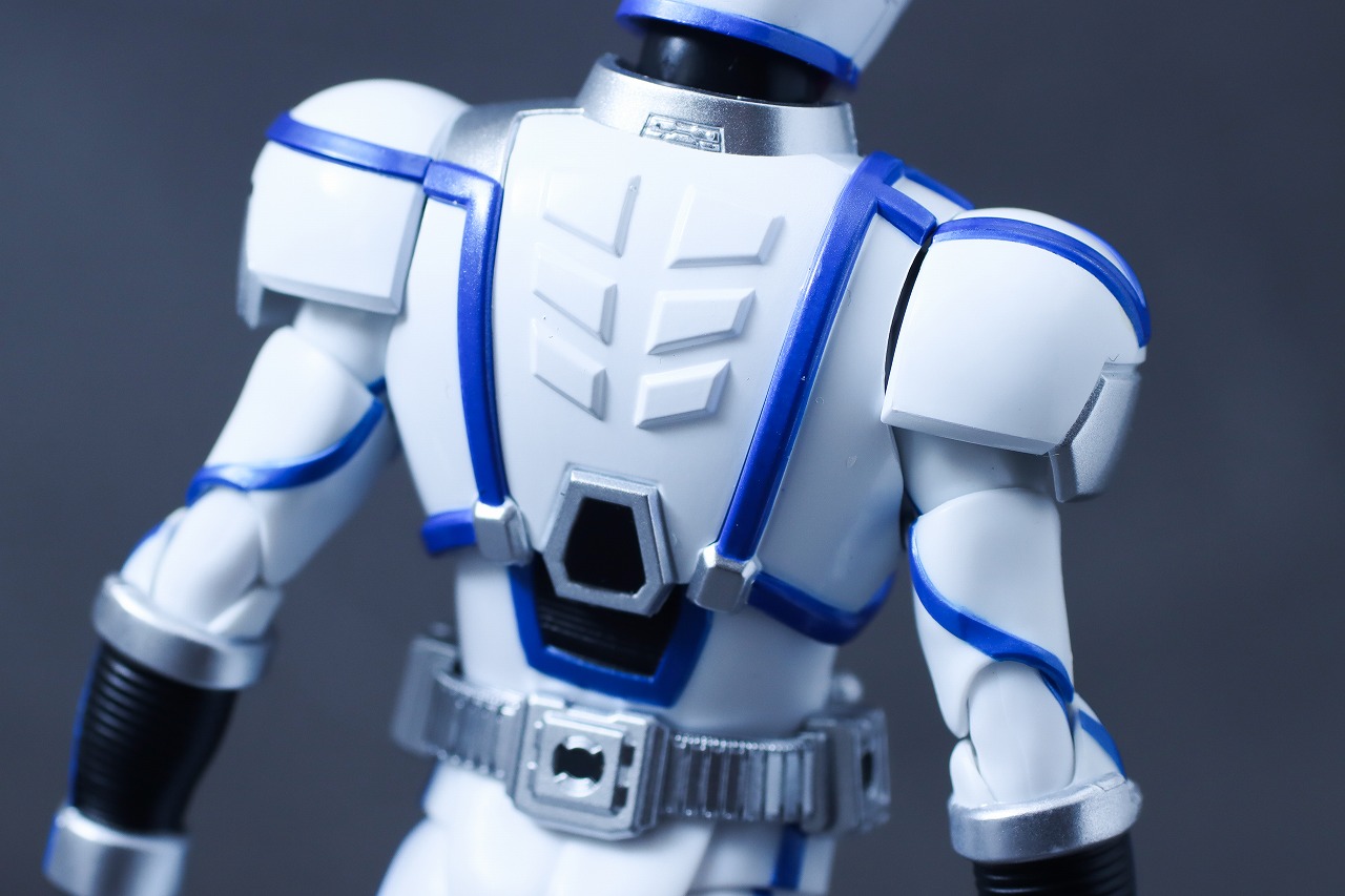 S.H.フィギュアーツ 真骨彫製法　仮面ライダーサイガ　レビュー　本体