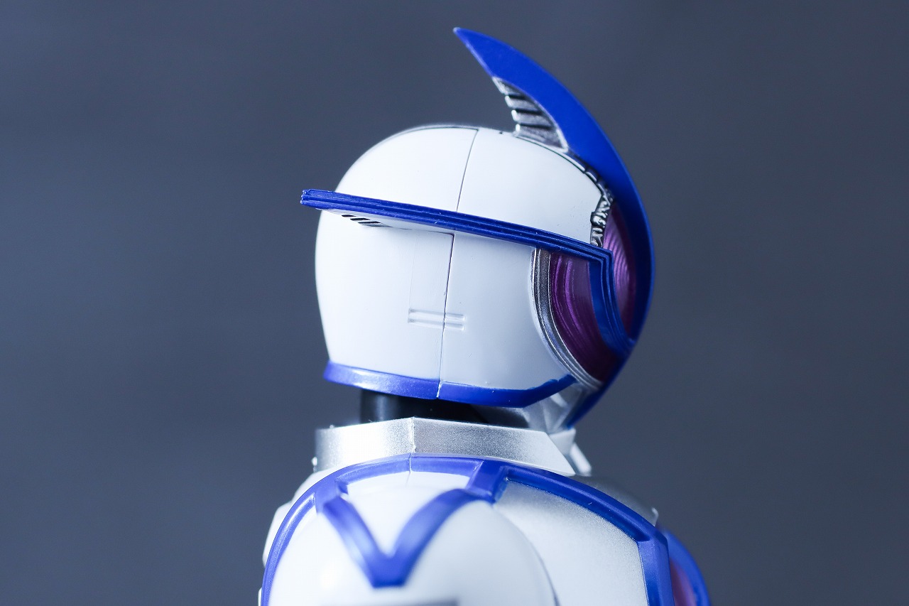 S.H.フィギュアーツ 真骨彫製法　仮面ライダーサイガ　レビュー　本体