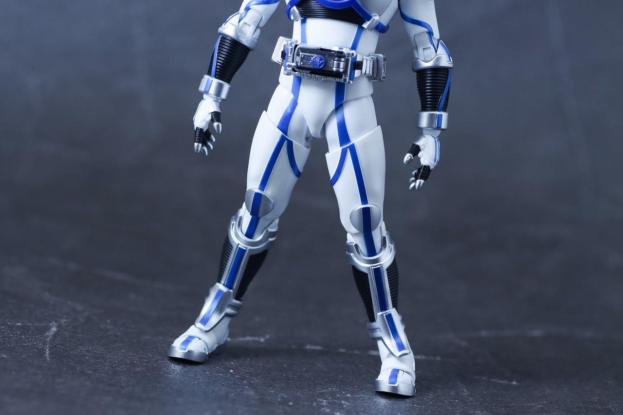 S.H.フィギュアーツ 真骨彫製法　仮面ライダーサイガ　レビュー　本体